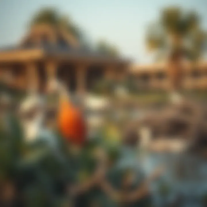 Biodiversity in the mangroves featuring various species of birds and flora