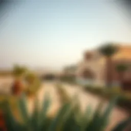 A serene landscape of ظبي الريم highlighting its natural beauty