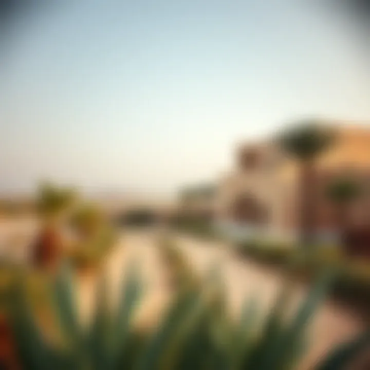 A serene landscape of ظبي الريم highlighting its natural beauty