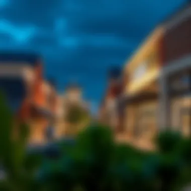 The Outlet Village Shops: A Comprehensive Exploration Introduction