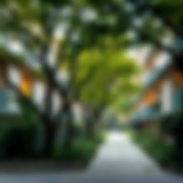Notable Trees and Residences: A Harmonious Coexistence in Urban Living