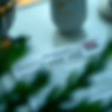 Application form for UAE visit visa