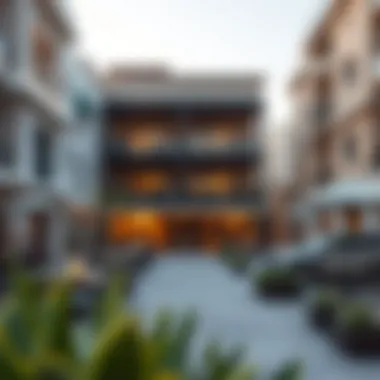 Vibrant community spaces within the Emirates Cluster promoting lifestyle and leisure